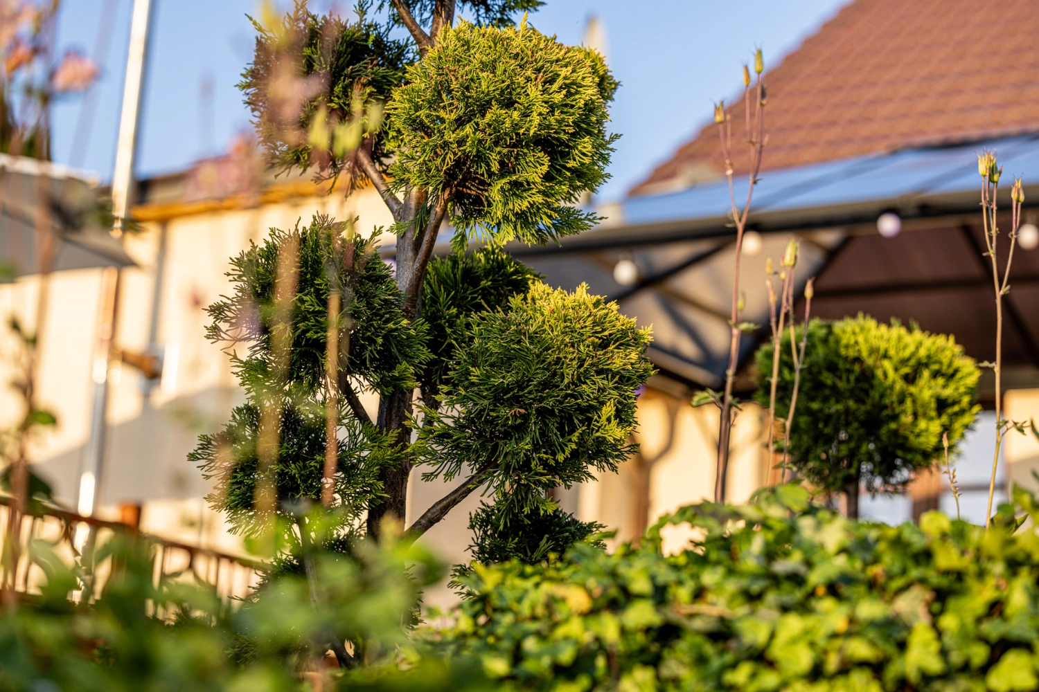 Krafft-Holiday Vermietung Ferienwohnung Rostock Wohnzimmer