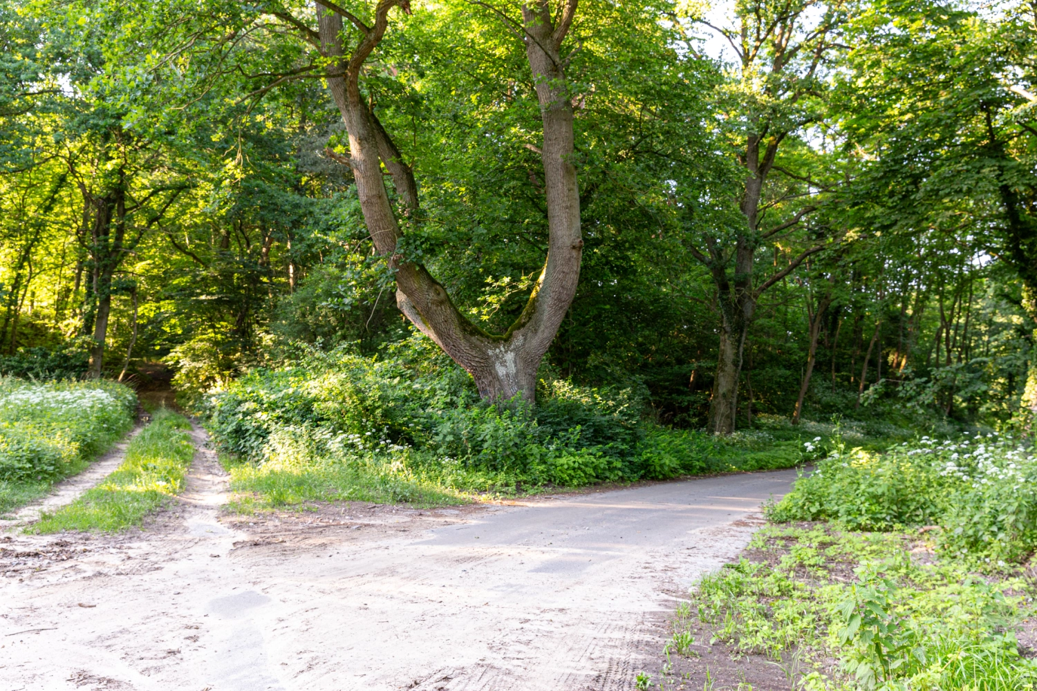 Ferienhaus mit Sauna in Krakow am See, Krafft-Holiday Vermietung Ferienwohnung Rostock Badezimmer