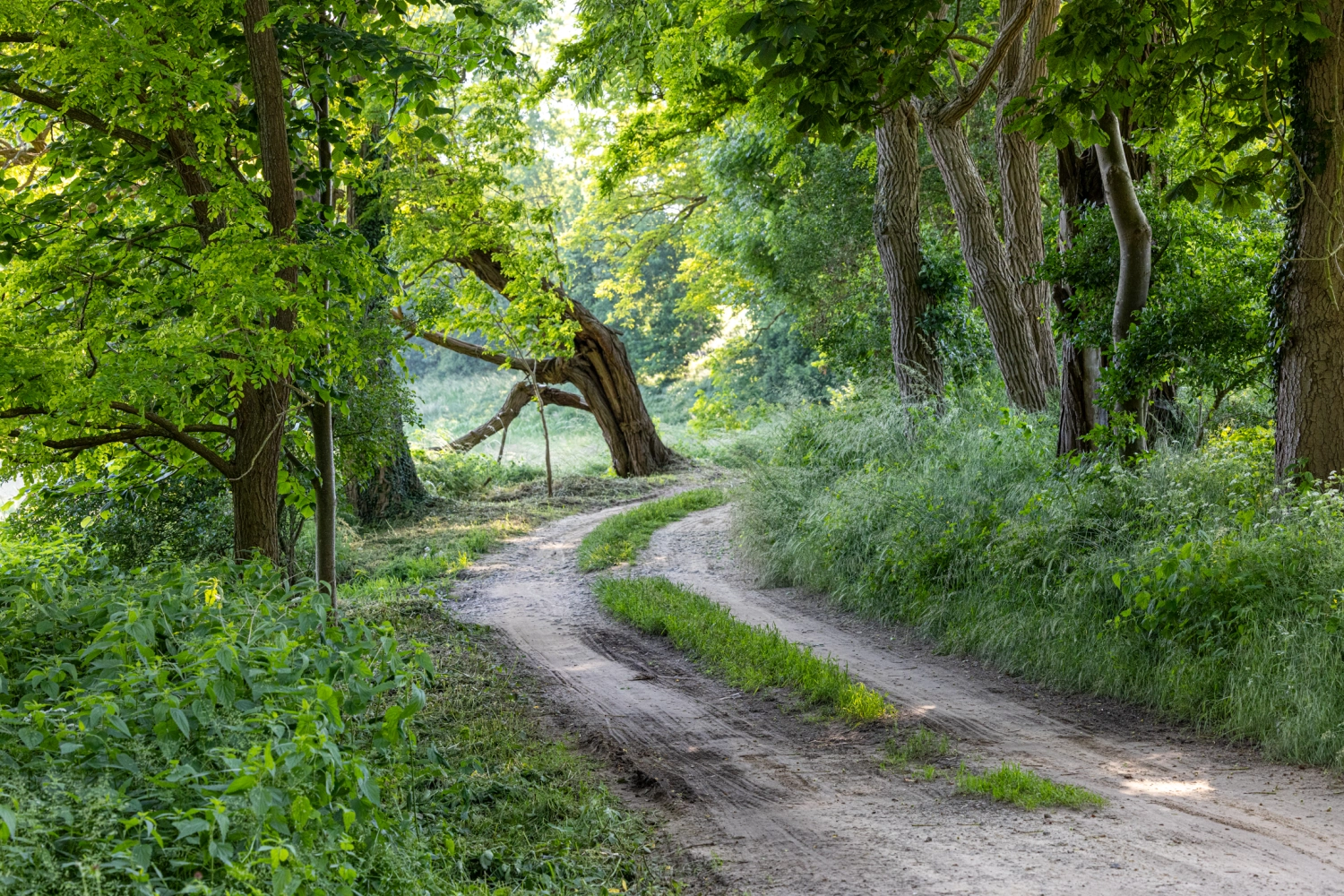 Ferienhaus mit Sauna in Krakow am See, ferienhaus wiesenblick, ferienwohnung rostock, krakow am see immobilien,  wochenendhaus rostock. Ferienhaus Rostock, Ferienhaus Krakow am See, Ferienunterkunft Krakow am See , Ferienunterkunft Rostock , Urlaub in Krakow am See , Urlaub in Rostock