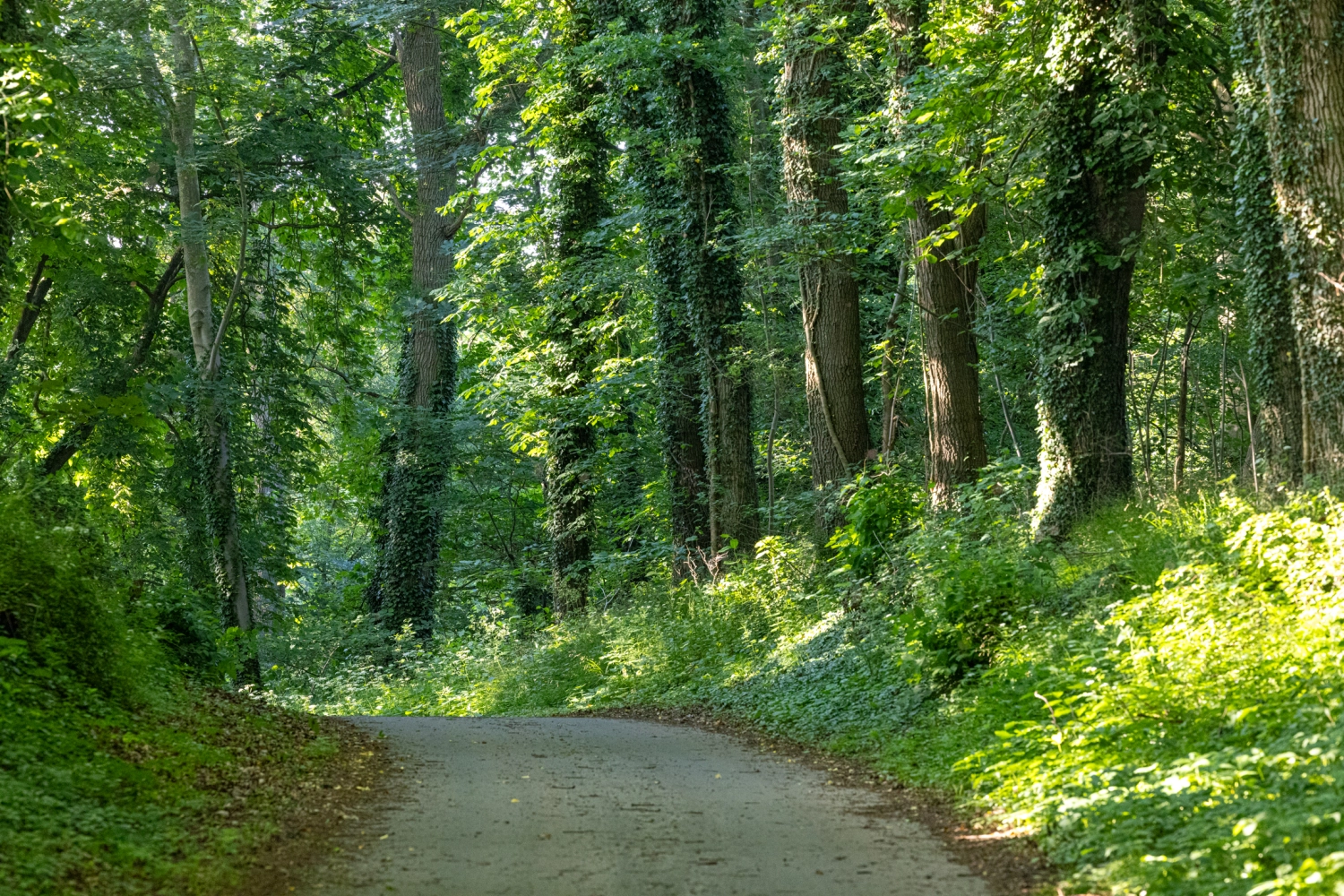 Ferienhaus mit Sauna in Krakow am See, ferienhaus wiesenblick, ferienwohnung rostock, krakow am see immobilien,  wochenendhaus rostock. Ferienhaus Rostock, Ferienhaus Krakow am See, Ferienunterkunft Krakow am See , Ferienunterkunft Rostock , Urlaub in Krakow am See , Urlaub in Rostock