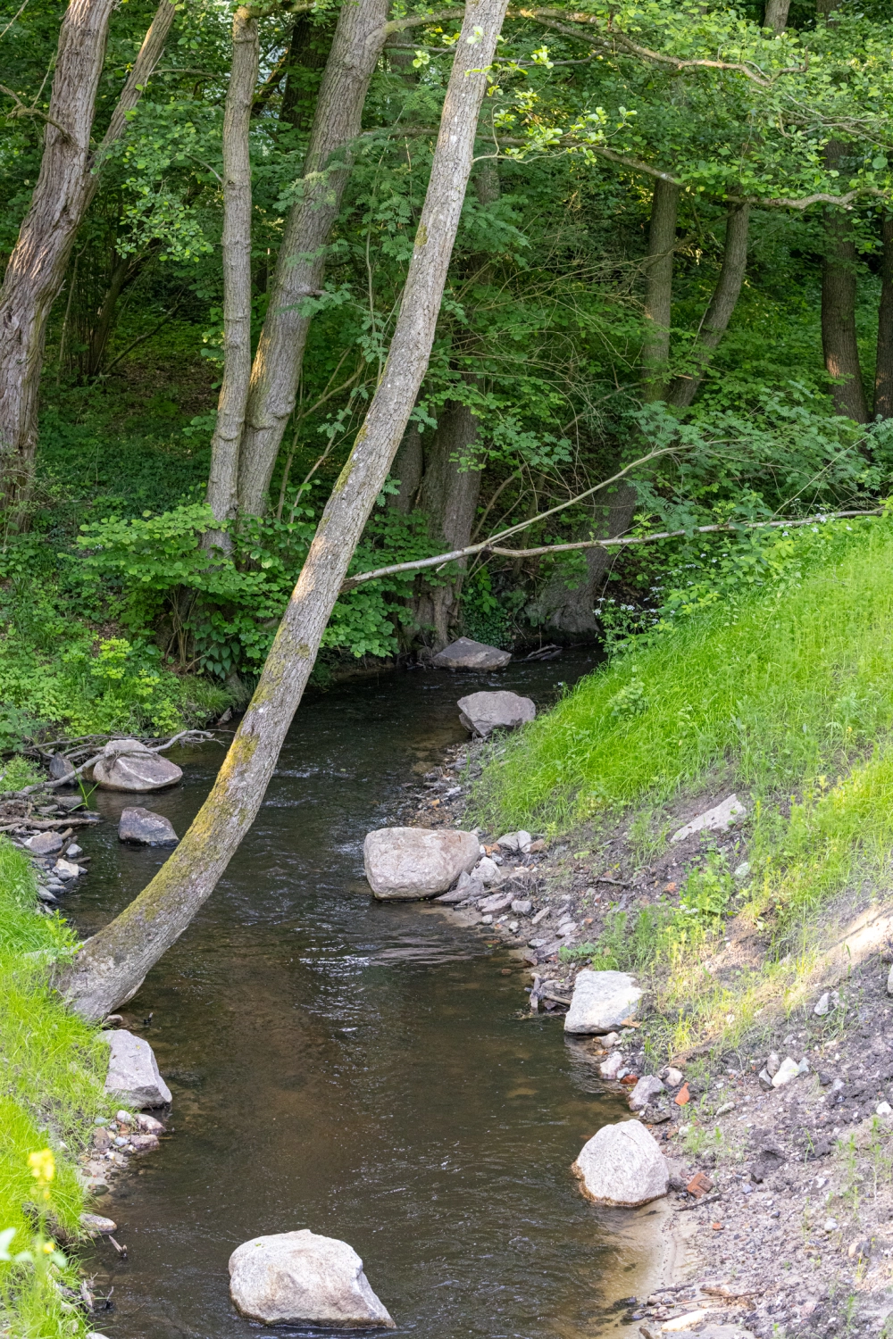 Ferienhaus mit Sauna in Krakow am See, Krafft-Holiday Vermietung Ferienwohnung Rostock Badezimmer