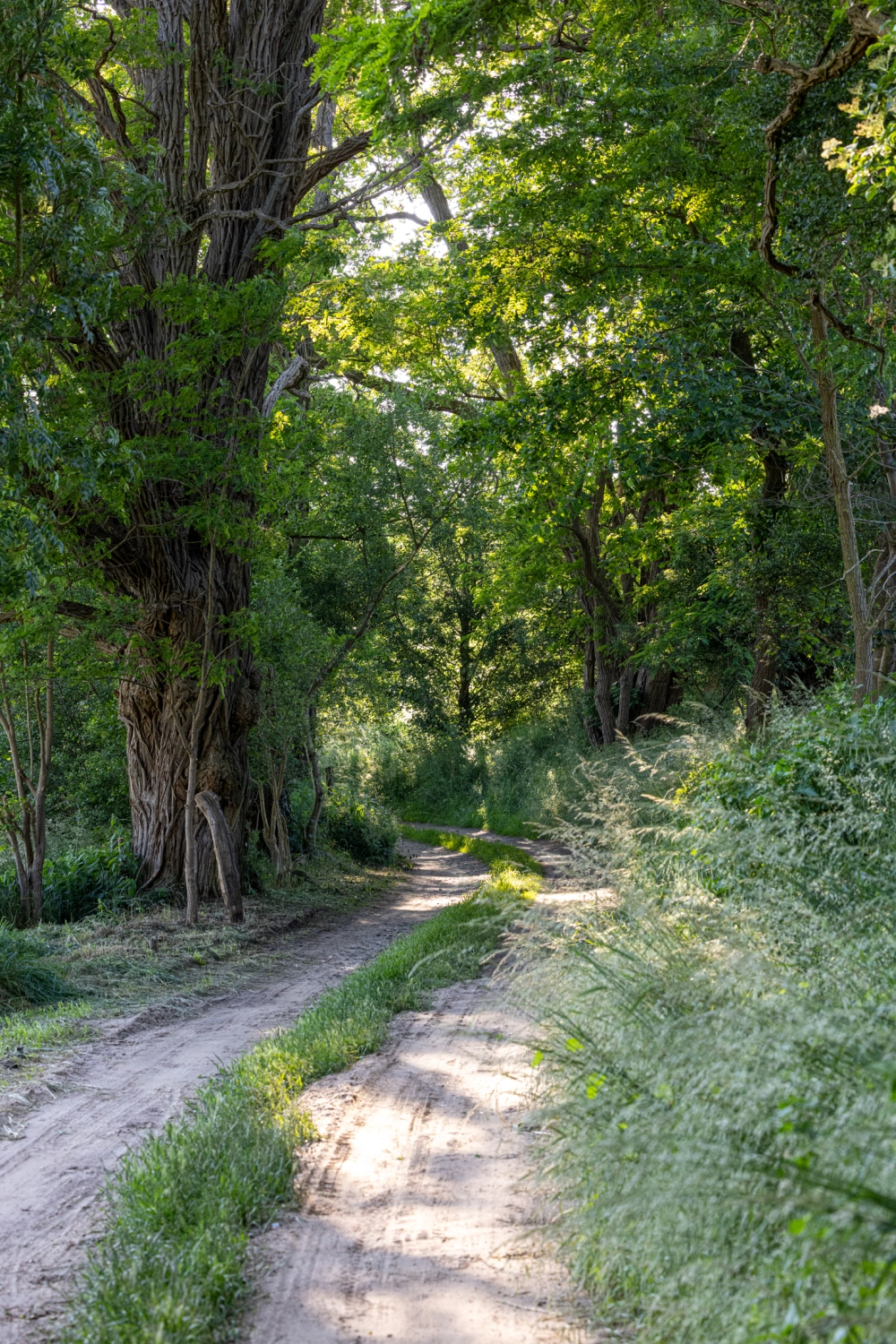 Ferienhaus mit Sauna in Krakow am See, ferienhaus wiesenblick, ferienwohnung rostock, krakow am see immobilien,  wochenendhaus rostock. Ferienhaus Rostock, Ferienhaus Krakow am See, Ferienunterkunft Krakow am See , Ferienunterkunft Rostock , Urlaub in Krakow am See , Urlaub in Rostock